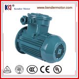 Ex-Proof AC Asynchronous Motor with Factory Price