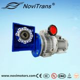 3kw Three Phase Permanent Magnet Synchronous Motor with Speed Governor and Decelerator (YFM-100/GD)