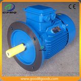 Ye2 20HP/CV 15kw Efficiency Cast Iron Squirrel Cage Electric Motor