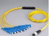 MPO-Sc 12core Mini Round 3.0mm Fiber Optical Patchcord