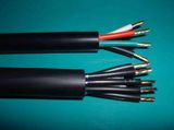 Stranded FTP Cat5e 30AWG Network Computer Cable