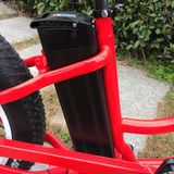 Lithium-Ion Battery for Various Electric Bicycles