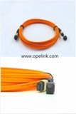 Fiber Optical Patch Cord for CATV & LAN