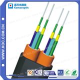4-Fiber Parallel Far Transmission Fiber Optic Cable