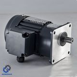 Vertical Type 3 Phase Gear AC Electric Motor 100-750W with Ce Certification -E