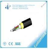Engineering Supporting B1 Sm Fiber Optical Cable with Aerial Installation ADSS Cable