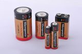 Super Power Carbon Zinc Dry Battery