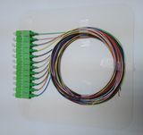 Fiber Optic Sc/APC 12 Color Pigtail