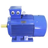 3HMI-Ie3 Series Cast-Iron Housing Premium Efficiency Motor