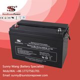 Deep Cycle 12V 100ah Maintenance Free AGM Type UPS Battery
