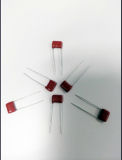 Metallized Polyester Film Capacitor (Cl21 224/100) Mkt Tmcf03