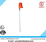 Drft-99 RF Admittance Level Gauge