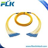 Multi-Cores 12 Cores Distribution Breakout Fiber Optic Patch Cord