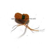 Passive Components High Frequency Inductors