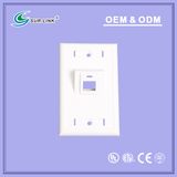 120 Type Inclined 45 Degree 1 Port Faceplate