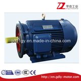 Y2 Series Cast Iron 3 Phase Asynchronous Electromotor