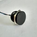 25mm IP68 Waterproof Black Aluminum Anodized Piezo Switch