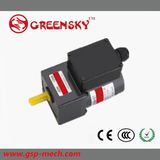 25W 1250rpm AC Motor Used at Boiler Transportation System, Gear Motor