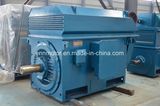 High Voltage Pm Motors