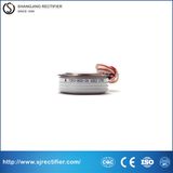 The Hottest Selling B2b Marketplace Russian Fast Thyristor