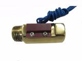 G 1/2'' Piston Type Flow Switch