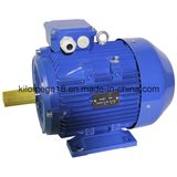 Y2 Series 3-Phase Asynchronous Electric Motors for Industry with Ce