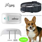 2017 New Design Pet GPS Tracker with Collar (TK909)