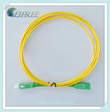 Single-Mode Fibre Optic Patchcord Sc/APC
