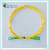 Single-Mode Fibre Optic Patchcord Sc/APC