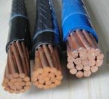 Nylon Jacket Wire Thwn Thhn Thermoplastic-Insulated Wire