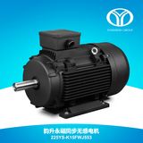 AC Permanent Magnet Synchronous Motor (55kw 1500rpm)