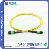 MPO/MTP APC 12cores Fiber Optic Patch-Cord