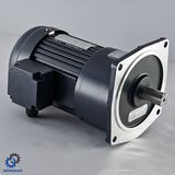 Ce Approved Small AC Motor Vertical Type_C