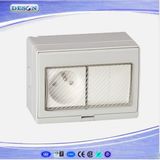 IP55 2 Gang Switch and 1 Gang French Socket Waterproof Wall Switch Socket