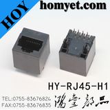 Professional Manufacturer RJ45 Female Connector/RJ45 Jack for Socket (HY-RJ45-H1)