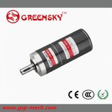 GS 15W 32mm Planetary Brushless DC Motor with High Quality
