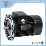 Ys Series Aluminium- Housing Three Phase Asynchronous Motor