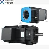 Pmsm Motor 380V AC Servo Motor