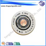 6kv/ XLPE Insulated/ Steel Armoured/ PVC Sheathed/ Power Cable