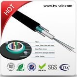 12 Core Sm/mm Armored Optical Fiber Cable GYXTW