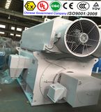 Shanghai Electric Group DC Motor