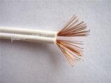 Spt Cable, Spt Wire for South American Market!