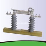 24kv Polymer Housed Cutout Fuse Cfs-3r-24-540 a