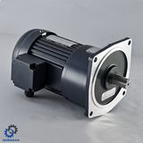 Vertical High Ratio Electric AC Motor with Gear Box_D