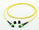 MPO/APC (Male) to MPO/APC (Female) Fiber Optical Jumpers (2m)