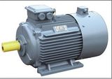 We Supply High Quality AC Motor Ytsp225m-6