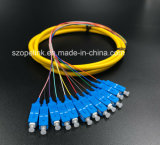 Fiber Optic Patchcord Fiber Connector 12 Core Bundle Pigtail Sc/Upc