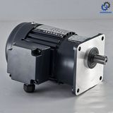 Single Phase Light Duty Electric AC Motor with High Ratio_D