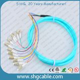 12 Core LC/Upc-50/125um Om3 mm Bunch Fiber Optical Pigtail