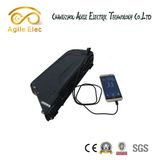 High Power 48V Electric Bike Motor Battery with Internal BMS